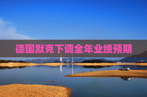 德国默克下调全年业绩预期