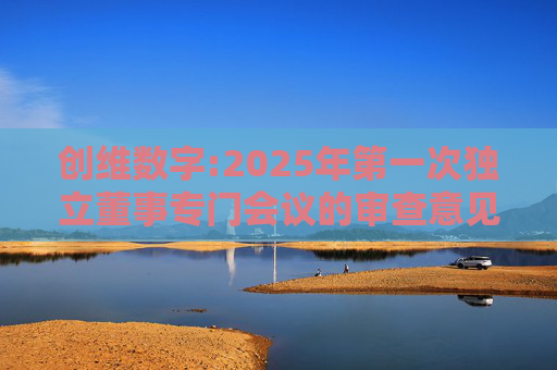 创维数字:2025年第一次独立董事专门会议的审查意见