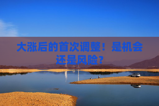 大涨后的首次调整！是机会还是风险？