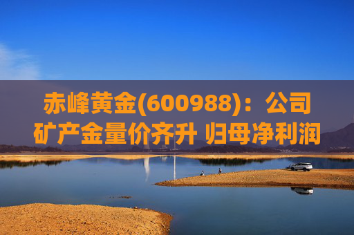 赤峰黄金(600988)：公司矿产金量价齐升 归母净利润创历史新高