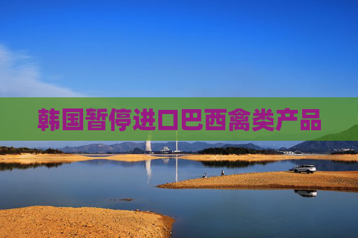 韩国暂停进口巴西禽类产品  第1张