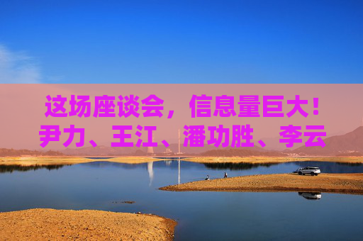 这场座谈会，信息量巨大！尹力、王江、潘功胜、李云泽、吴清参加