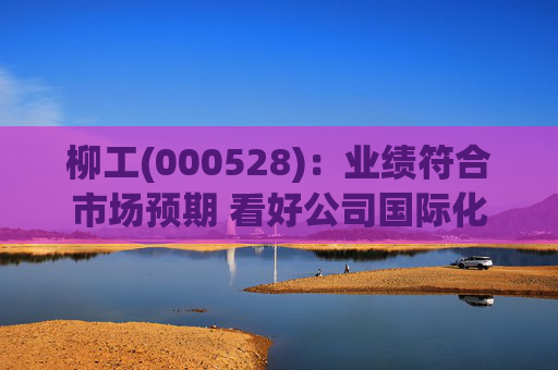 柳工(000528)：业绩符合市场预期 看好公司国际化拓品类逻辑持续兑现