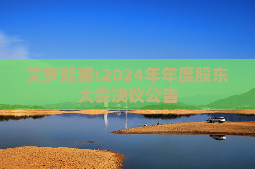 艾罗能源:2024年年度股东大会决议公告