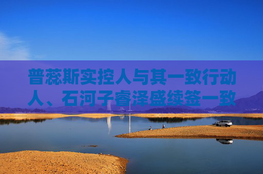 普蕊斯实控人与其一致行动人、石河子睿泽盛续签一致行动协议