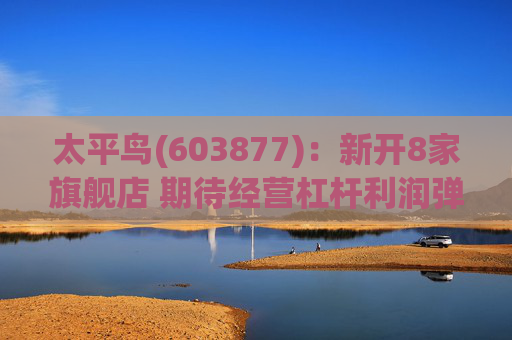 太平鸟(603877)：新开8家旗舰店 期待经营杠杆利润弹性
