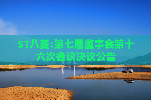 ST八菱:第七届监事会第十六次会议决议公告