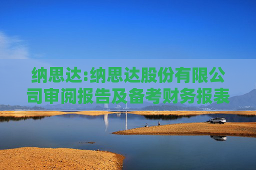 纳思达:纳思达股份有限公司审阅报告及备考财务报表