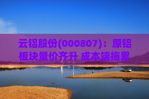 云铝股份(000807):原铝板块量价齐升 成本端拖累Q4业绩 第1张 云铝股份(000807):原铝板块量价齐升 成本端拖累Q4业绩 第1张