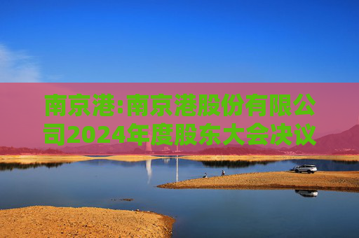 南京港:南京港股份有限公司2024年度股东大会决议公告