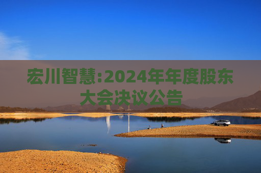 宏川智慧:2024年年度股东大会决议公告