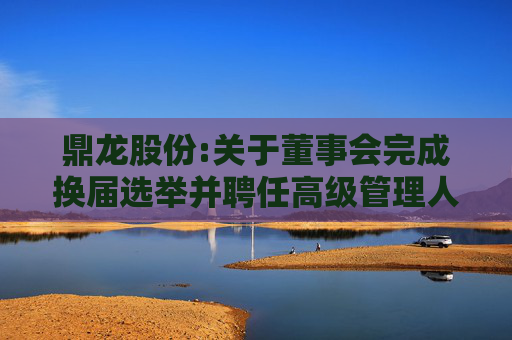 鼎龙股份:关于董事会完成换届选举并聘任高级管理人员、审计部负责人及证券事务代表的公告