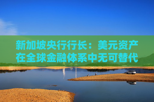 新加坡央行行长：美元资产在全球金融体系中无可替代
