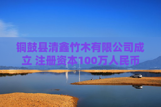 铜鼓县清鑫竹木有限公司成立 注册资本100万人民币