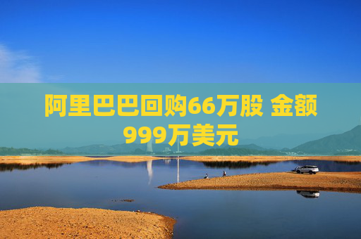 阿里巴巴回购66万股 金额999万美元