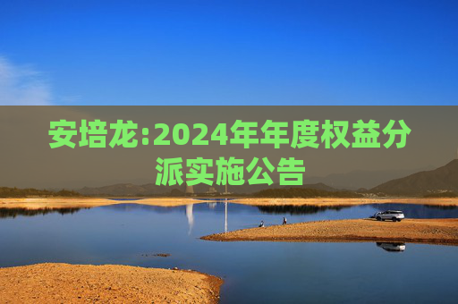 安培龙:2024年年度权益分派实施公告