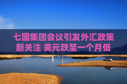 七国集团会议引发外汇政策新关注 美元跌至一个月低点