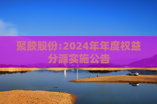 聚胶股份:2024年年度权益分派实施公告