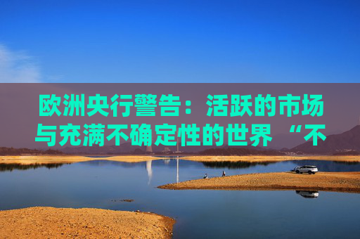 欧洲央行警告：活跃的市场与充满不确定性的世界 “不同步”