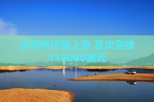 比特币价格上涨 首次突破110000美元