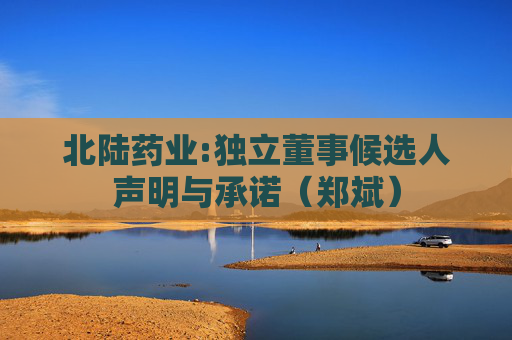 北陆药业:独立董事候选人声明与承诺（郑斌）