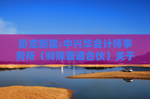 卧龙新能:中兴华会计师事务所（特殊普通合伙）关于不存在《上市公司监管指引第7号――上市公司重大资产重组相关股票异常交易监管》第十二条不得参与任何上市公司重大资产重组情形的说明