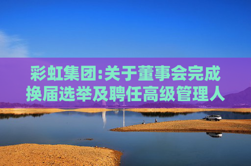彩虹集团:关于董事会完成换届选举及聘任高级管理人员、证券事务代表、审计负责人的公告