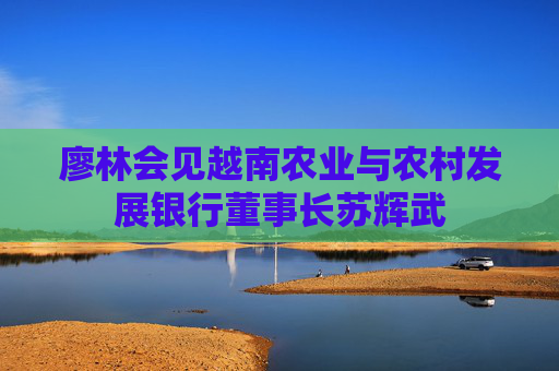 廖林会见越南农业与农村发展银行董事长苏辉武