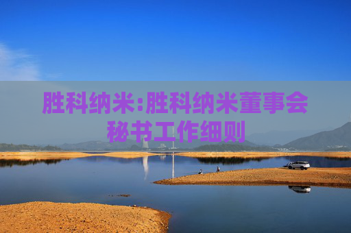 胜科纳米:胜科纳米董事会秘书工作细则