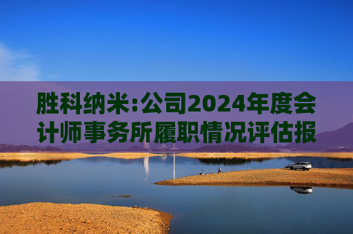 胜科纳米:公司2024年度会计师事务所履职情况评估报告