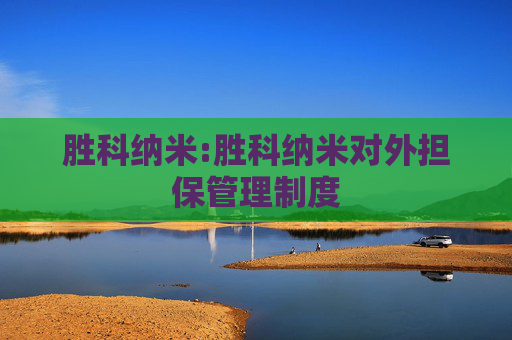 胜科纳米:胜科纳米对外担保管理制度