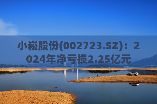 小崧股份(002723.SZ)：2024年净亏损2.25亿元
