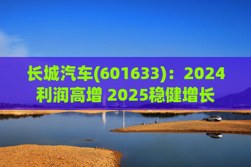 长城汽车(601633):2024利润高增 2025稳健增长 第1张 长城汽车(601633):2024利润高增 2025稳健增长 第1张