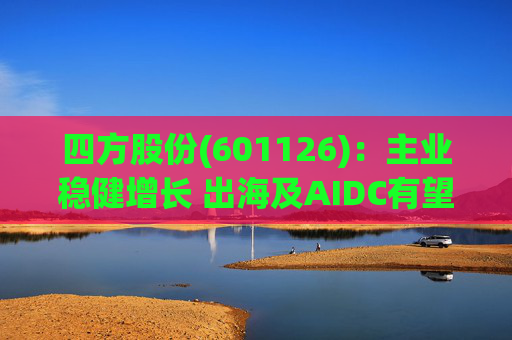 四方股份(601126)：主业稳健增长 出海及AIDC有望形成增量