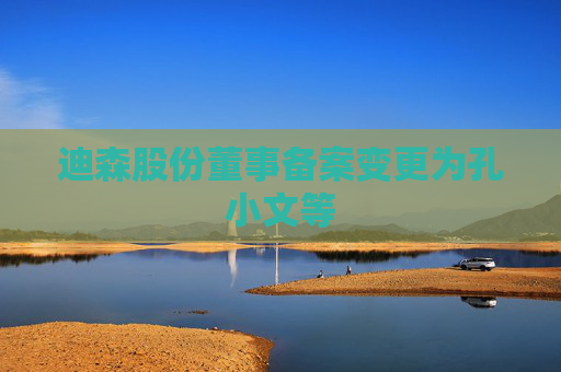 迪森股份董事备案变更为孔小文等