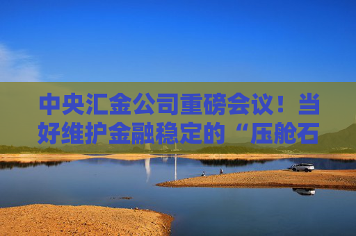 中央汇金公司重磅会议！当好维护金融稳定的“压舱石”  第1张