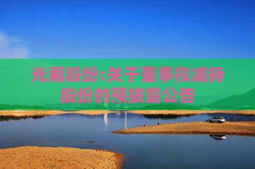 光莆股份:关于董事拟减持股份的预披露公告  第1张