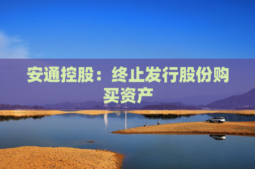 安通控股：终止发行股份购买资产  第1张