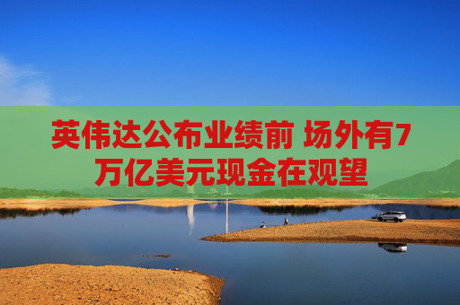 英伟达公布业绩前 场外有7万亿美元现金在观望