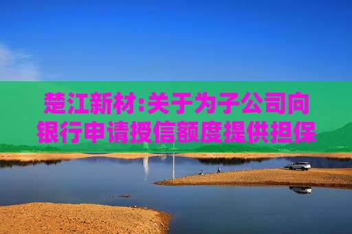 楚江新材:关于为子公司向银行申请授信额度提供担保的进展公告  第1张