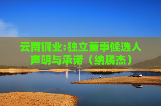 云南铜业:独立董事候选人声明与承诺（纳鹏杰）