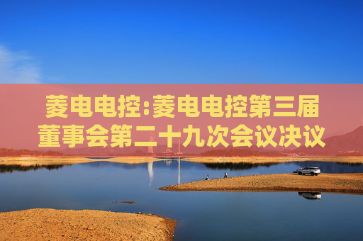 菱电电控:菱电电控第三届董事会第二十九次会议决议公告