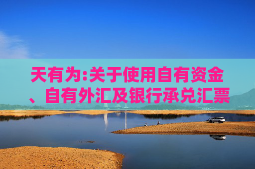 天有为:关于使用自有资金、自有外汇及银行承兑汇票等方式支付募投项目部分款项并以募集资金等额置换的公告