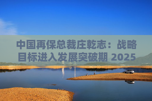 中国再保总裁庄乾志：战略目标进入发展突破期 2025年非常关键
