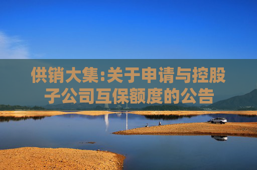 供销大集:关于申请与控股子公司互保额度的公告  第1张