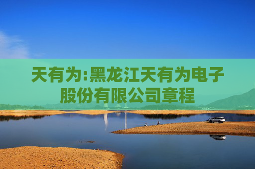 天有为:黑龙江天有为电子股份有限公司章程
