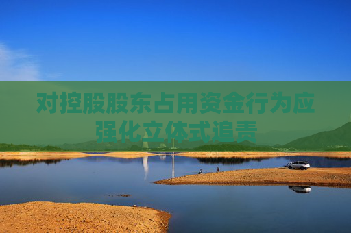 对控股股东占用资金行为应强化立体式追责
