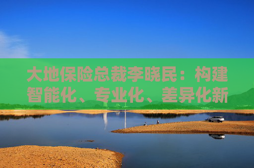 大地保险总裁李晓民：构建智能化、专业化、差异化新能源车险经营管理体系