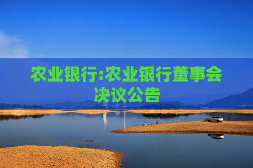 农业银行:农业银行董事会决议公告