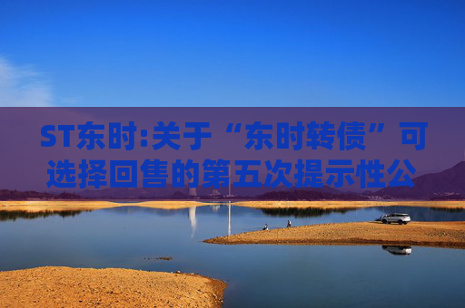 ST东时:关于“东时转债”可选择回售的第五次提示性公告  第1张